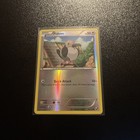 Pidove