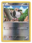 Pidove