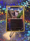 Pidove