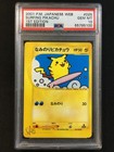 Surfing Pikachu