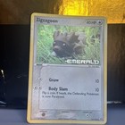 Zigzagoon