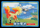 Rapidash