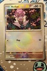 Noibat