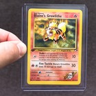 Blaine's Growlithe