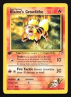 Blaine's Growlithe