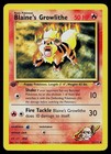 Blaine's Growlithe