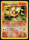 Blaine's Growlithe