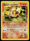 Blaine's Growlithe