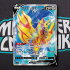 Zamazenta V