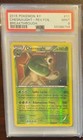 Chesnaught