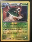 Chesnaught