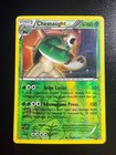 Chesnaught