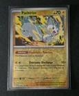 Pachirisu