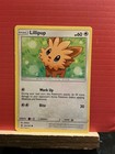 Lillipup