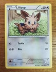 Lillipup