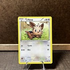 Lillipup