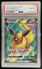 Flareon V