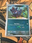 Zorua