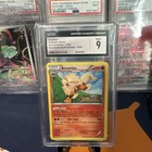 Arcanine