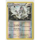 Cinccino