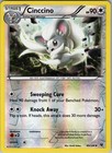 Cinccino