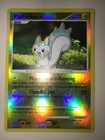 Pachirisu