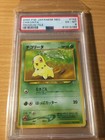 Chikorita