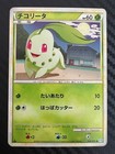 Chikorita