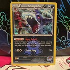 Team Aqua's Sharpedo