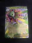 Mega Meganium ex