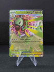 Mega Meganium ex