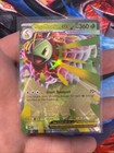 Mega Meganium ex
