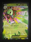 Mega Meganium ex