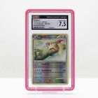 Pidgey