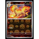 Rapidash