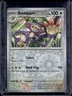 Ambipom