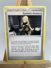 Cynthia's Guidance