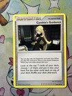 Cynthia's Guidance