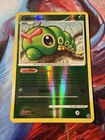 Caterpie
