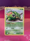 Caterpie