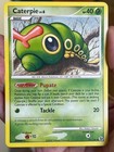 Caterpie