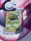 Caterpie