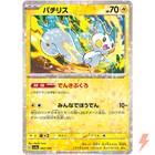 Pachirisu