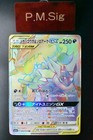 Greninja & Zoroark Tag Team  GX