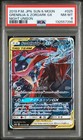 Greninja & Zoroark Tag Team  GX