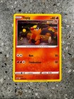 Tepig