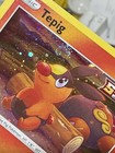 Tepig
