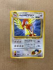 Koga's Pidgeotto