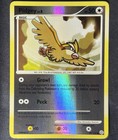 Pidgey