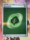 Grass Energy